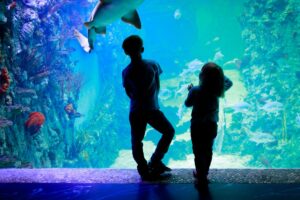 Aquarium in Ibiza