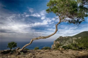 Puerta del Cielo viewpoint Ibiza
