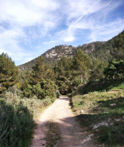 Montaña Sa Talaia rodeada de bosque mediterráneo en Ibiza