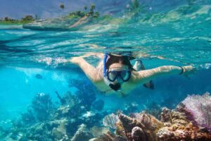 Snorkeling during a sea excursion in Ibiza 2025