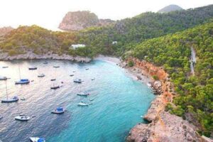Turquoise waters gently lap against the rocky coastline of Cala Salada, Ibiza, framed by pine-covered cliffs and golden sunlight.